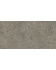 Płytki Atlas Concorde Marvel Meraviglia Grigio Elegante 60x120 mat AJIU