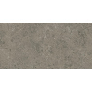 Płytki Atlas Concorde Marvel Meraviglia Grigio Elegante 60x120 Velvet AI8R