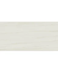 Płytki Atlas Concorde Marvel Stone Bianco Dolomite 30x60 lappato D039