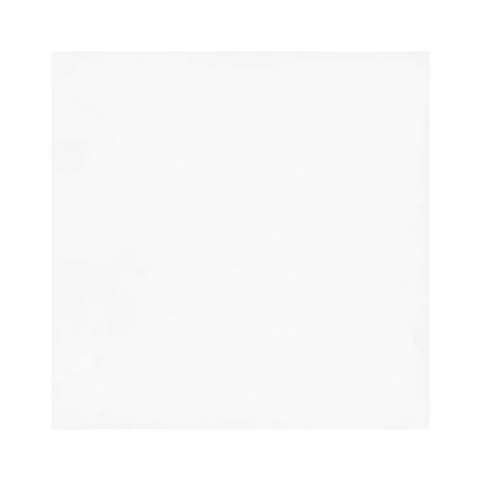 Grao Blanco 20x20 GRESPANIA