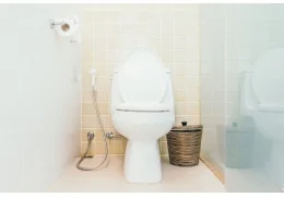 Jak prawidłowo dobrać deskę sedesową do WC?